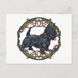 Schottischer Terrier keltisches Knotwerk Postkarte
