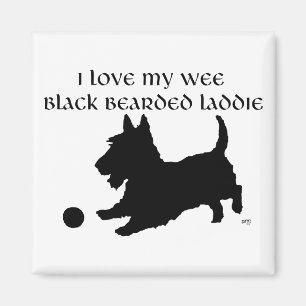 Schottischer Terrier - Kleiner schwarzer bärtiger  Magnet