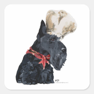 Schottischer Terrier Koch Quadratischer Aufkleber