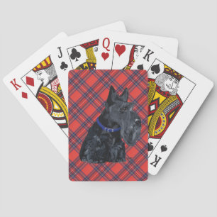 Schottischer Terrier mit blauem Halsband Spielkarten