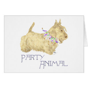 Schottischer Terrier Party Tier