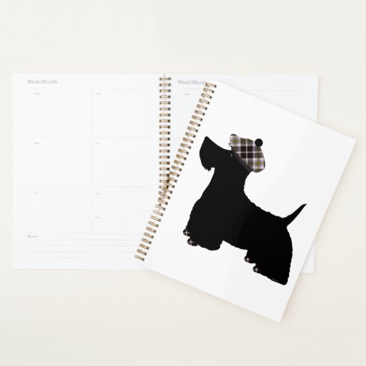Schottischer Terrier Planer (Anzeige)