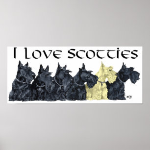 Schottischer Terrier Poster