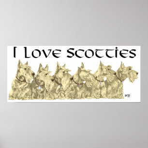 Schottischer Terrier Poster
