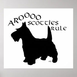 Schottischer Terrier Poster