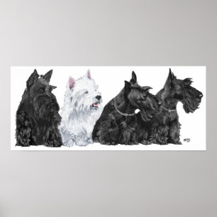 Schottischer Terrier Poster