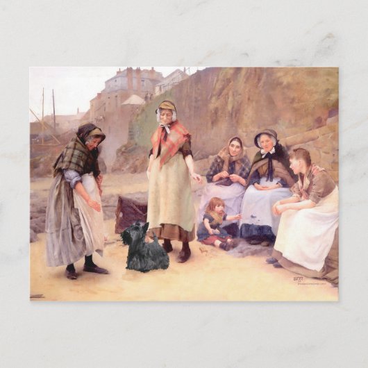 Schottischer Terrier Postkarte (Vorderseite)