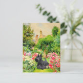 Schottischer Terrier Postkarte (Stehend Vorderseite)