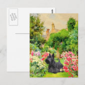 Schottischer Terrier Postkarte (Vorne/Hinten)