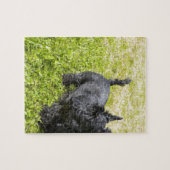 Schottischer Terrier Puzzle (Horizontal)