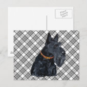 Schottischer Terrier Tartan Karte (Vorne/Hinten)