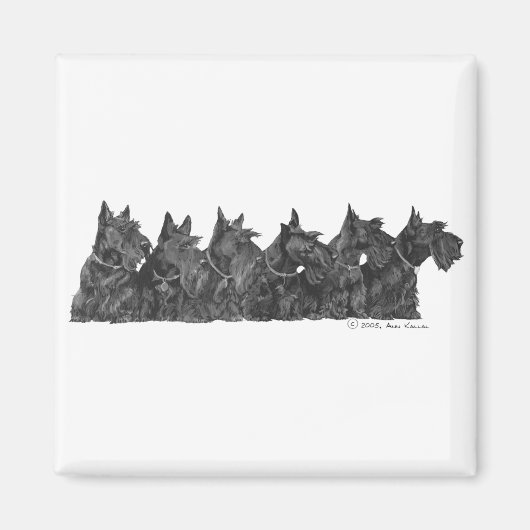 Schottischer Terrier-Treff Magnet (Vorne)