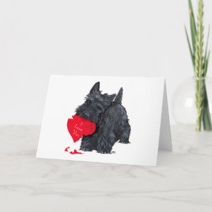 Schottischer Terrier Valentine Feiertagskarte