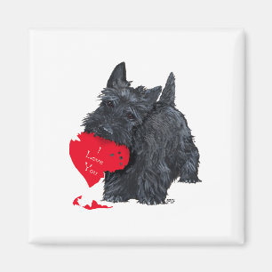 Schottischer Terrier Valentine Magnet