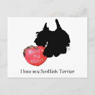 Schottischer Terrier Valentinstag Feiertagspostkarte