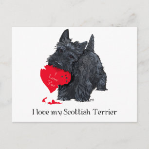 Schottischer Terrier Valentinstag Feiertagspostkarte