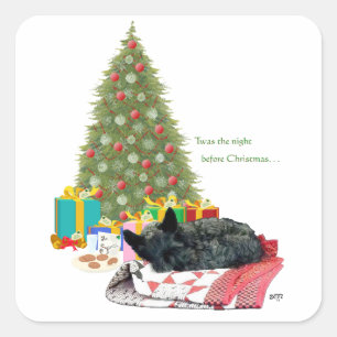 Schottischer Terrier Weihnachtsnickerchen Quadratischer Aufkleber