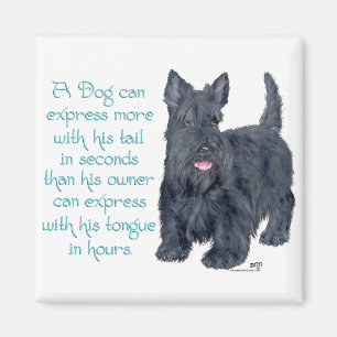 Schottischer Terrier Wit & Weisheit - Sprechen Magnet