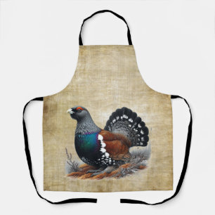 Schottisches Auerhuhn auf Heidekraut mit Feder und Schürze