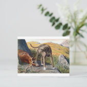 Schottisches deerhound postkarte (Stehend Vorderseite)