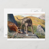 Schottisches deerhound postkarte (Vorne/Hinten)