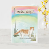 Schottisches Falten Katzenmatte Beileid über Rainb Karte (Gelbe Blume)