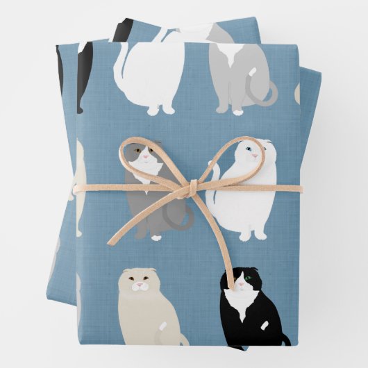 Schottisches Faltpapier Geschenkpapier Set (Beispiel)