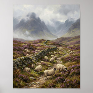 Schottisches Highland Blackface-Schaf Moor II Poster