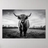 Schottisches Highland Cow Schwarzweiß-Foto Poster (Vorne)