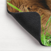 Schottisches Highland-Kalb Mousepad (Ecke)