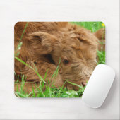 Schottisches Highland-Kalb Mousepad (Mit Mouse)