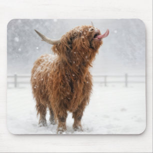 Schottisches Highland-Rind leckt Schneeflocken Mousepad