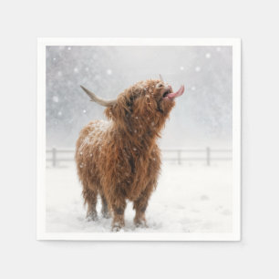 Schottisches Highland-Rind leckt Schneeflocken Serviette
