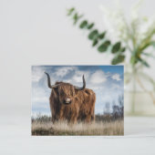 Schottisches Highland-Rind Postkarte (Stehend Vorderseite)