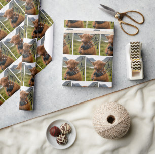 Schottisches Highland-Rind spielt auf den Dudelsäc Geschenkpapier