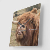 Schottisches Highland-Rind Tile Quadratische Wanduhr (Winkel)