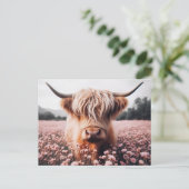Schottisches Hochland-Kuh-Wildblume Postkarte (Stehend Vorderseite)