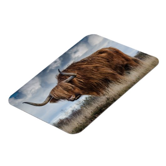 Schottisches Hochland Magnet (Linke Seite)