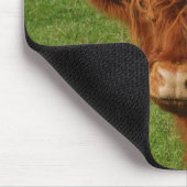 Schottisches Hochland-Vieh Mousepad (Ecke)