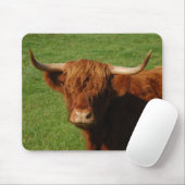 Schottisches Hochland-Vieh Mousepad (Mit Mouse)