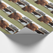 Schottisches Hochland-Vieh ~ Packpapier (Ecke)