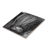 Schottisches Hochland-Vieh - Schottland Fliese (Seite)