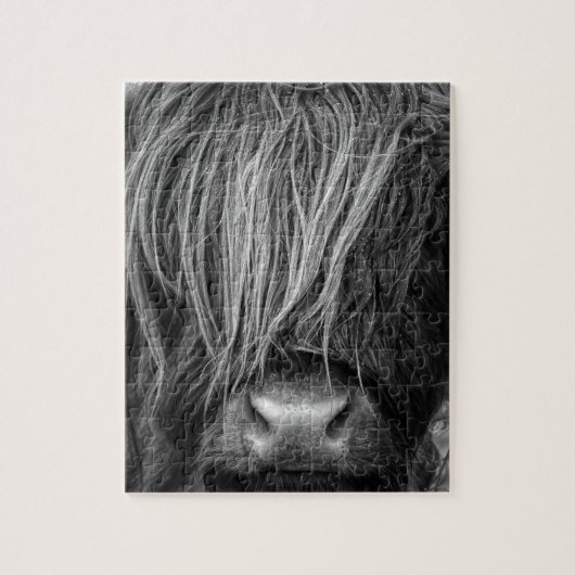 Schottisches Hochland-Vieh - Schottland Puzzle (Vertikal)