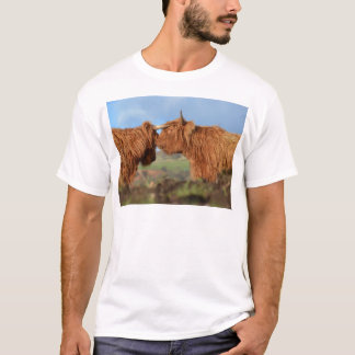 Schottisches Hochland-Vieh T-Shirt