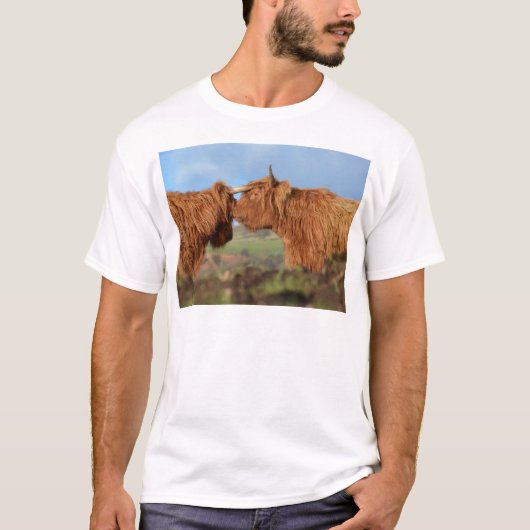 Schottisches Hochland-Vieh T-Shirt (Vorderseite)