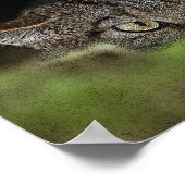 Schottisches Wildkatzenplakat Poster (Ecke)