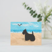 Schottland am Strand mit Seagull Postkarte (Stehend Vorderseite)