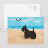 Schottland am Strand mit Seagull Postkarte (Vorne/Hinten)