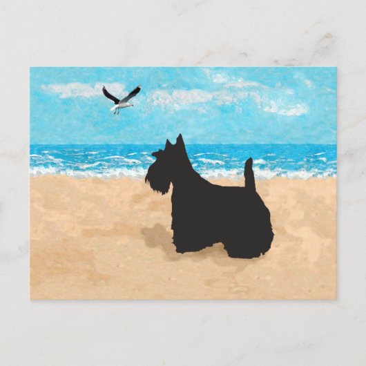 Schottland am Strand mit Seagull Postkarte (Vorderseite)