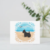 Schottland am Strand mit Seagull Postkarte (Stehend Vorderseite)